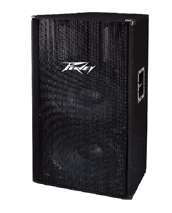 CAJA PASIVA PEAVEY GRANDE PV215 - Imagen 2