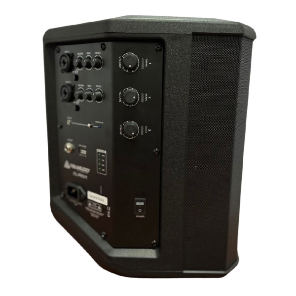 CAJA AMPLIFICADA 6.5" PORTATIL BT, USB, RECARGABLE - Imagen 3