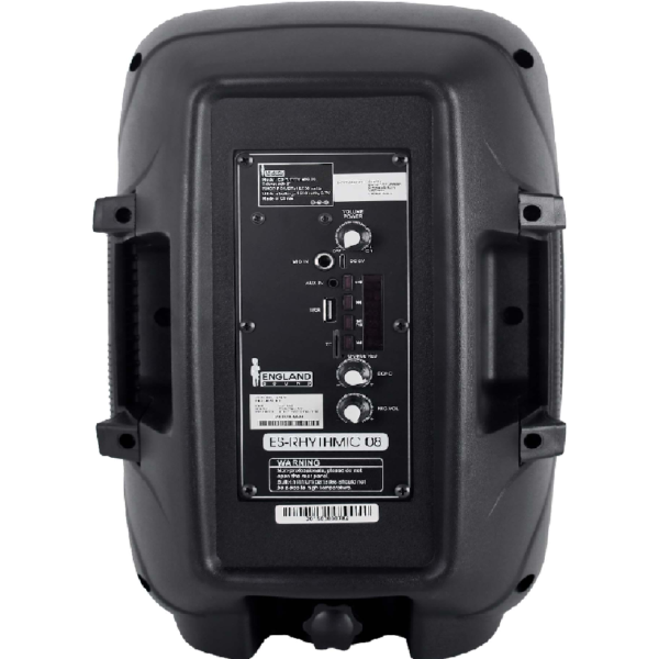 CAJA AMPLIFICADA 8" RECARGABLE - Imagen 3