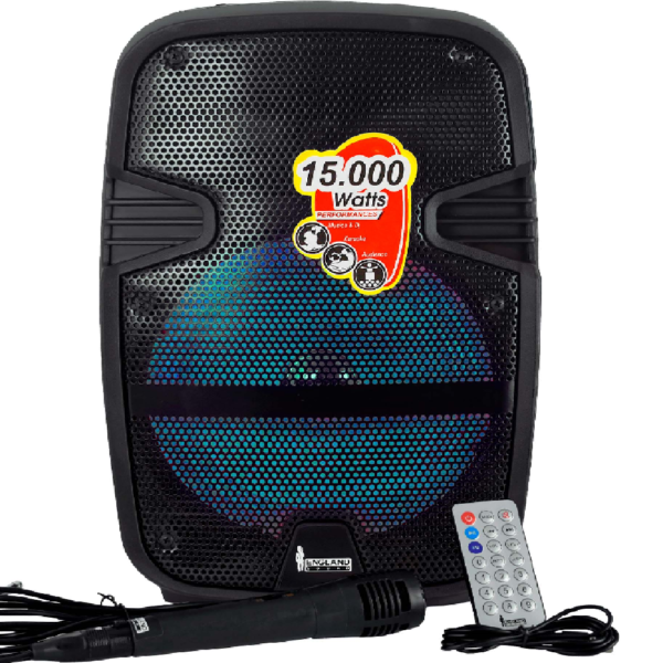 CAJA AMPLIFICADA 8" RECARGABLE