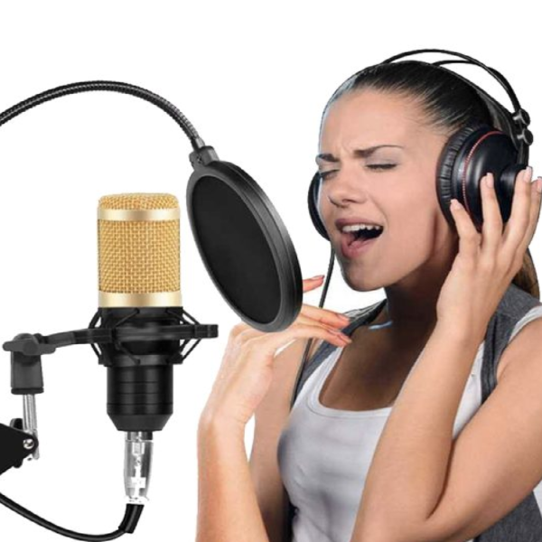 MICROFONO CONDENSADOR + ARAÑA + CABLE - Imagen 3