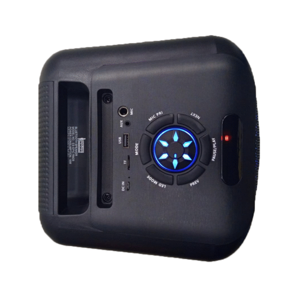 CAJA AMPLIFICADA CON BATERIA 2X6 PULGADAS RM26 - Imagen 3