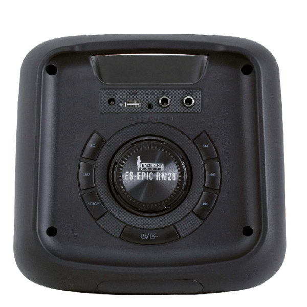 CAJA AMPLIFICADA CON BATERIA 2×8 PULGADAS - Imagen 4