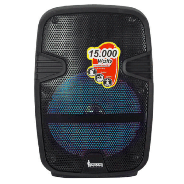 CAJA AMPLIFICADA CON BATERIA 8 PULGADAS